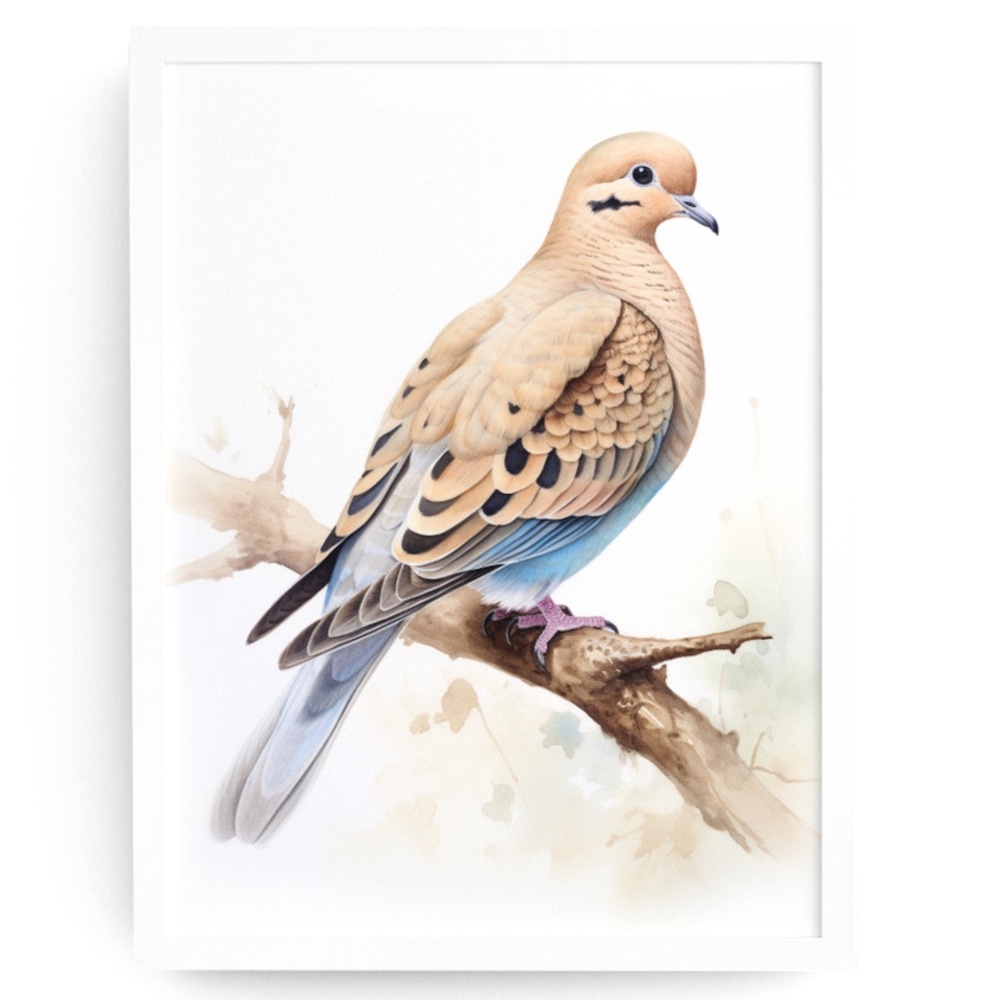 Watercolor Mourning Dove Bird Portrait Wall Art Illustration Print Unframed - Picture 1 of 5